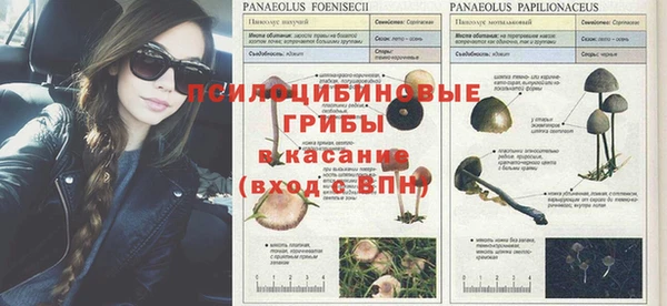 герыч Волоколамск